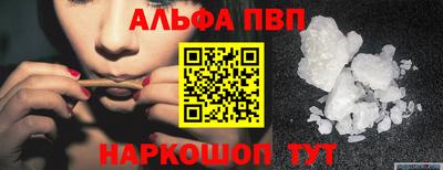 дмт Аргун