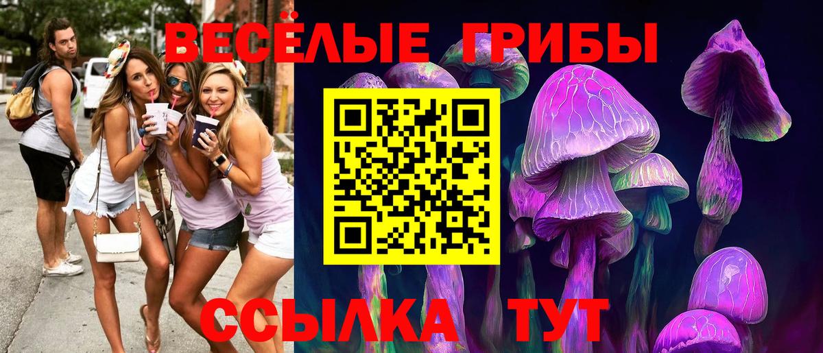 Галлюциногенные грибы мухоморы  как найти закладки  Вход с VPN  Верхняя Пышма  Псилоцибиновые грибы GOLDEN TEACHER 